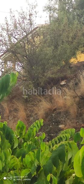 Foto 5df11b15-eda0-4368-a08b-7f4bed35aa14. Landgut in Motril ciudad Motril