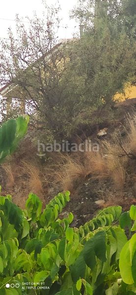 Foto 5df11b15-eda0-4368-a08b-7f4bed35aa14. Finca rústica a Motril ciudad Motril
