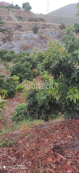 Foto 92537652-6eee-4d67-81c3-e0ee8509d9e6. Finca rústica a Motril ciudad Motril