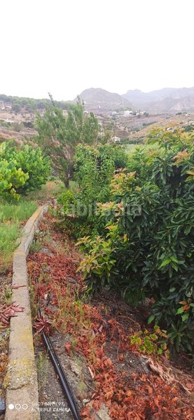 Foto a609b049-0092-4e01-b559-1f14fb03abb6. Finca rústica a Motril ciudad Motril