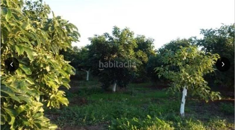 Foto 060613be-11a0-4527-8ee8-17c06b8dfc54. Finca rústica a Miranda Cartagena