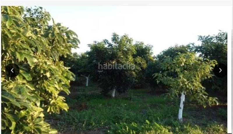 Foto 3f430074-fc29-4952-b479-4c48441d3bf6. Finca rústica a Miranda Cartagena