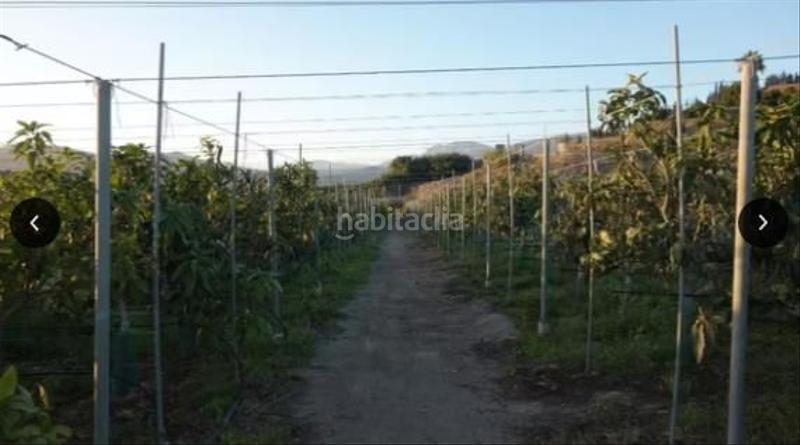 Foto 72e8dd81-4218-4ea5-8d73-f5be610e64cd. Finca rústica a Miranda Cartagena