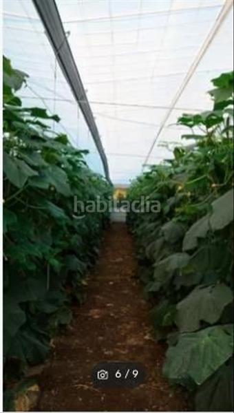 Foto 8384667c-7a2a-49f0-b908-4a76d923d76c. Finca rústica a Miranda Cartagena