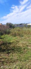 Rural plot in Motril  ciudad. Finca en las algaidas motril