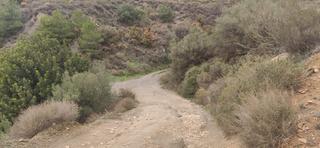 Rural plot in Motril  ciudad