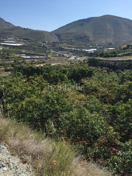 Foto 037a2397-890b-4336-8924-1c04c4df0602. Landgut in Motril ciudad Motril