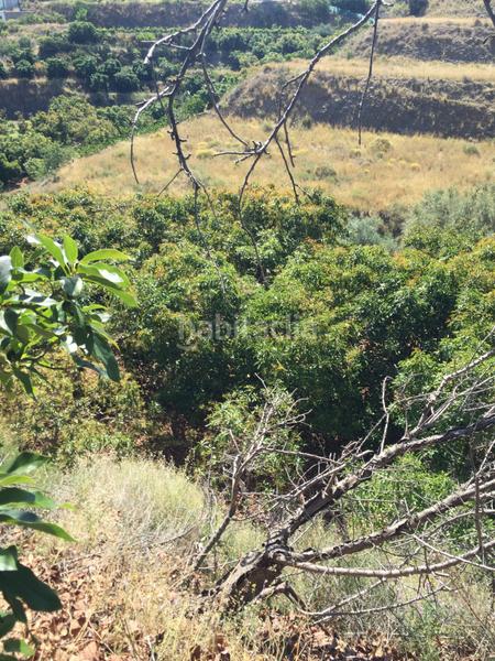 Foto fe3b6ad0-5383-477b-833c-0904904de003. Propriété dans Motril ciudad Motril