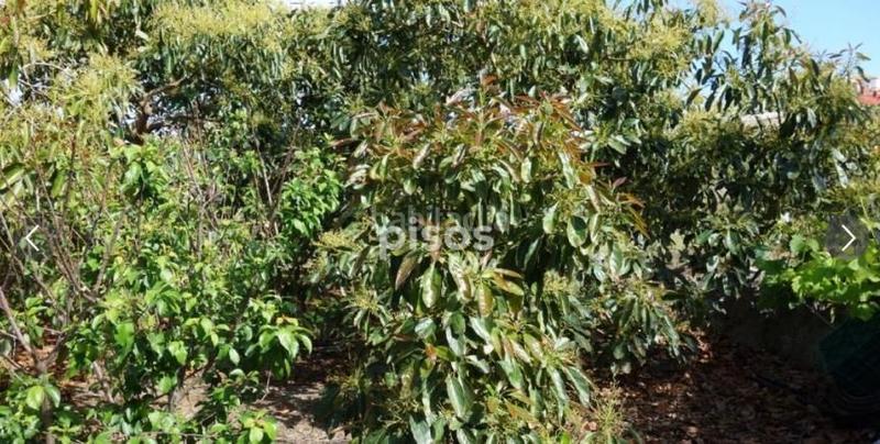 Foto 30035b08-f960-464c-b496-9aea260c2938. Propriété dans Motril ciudad Motril