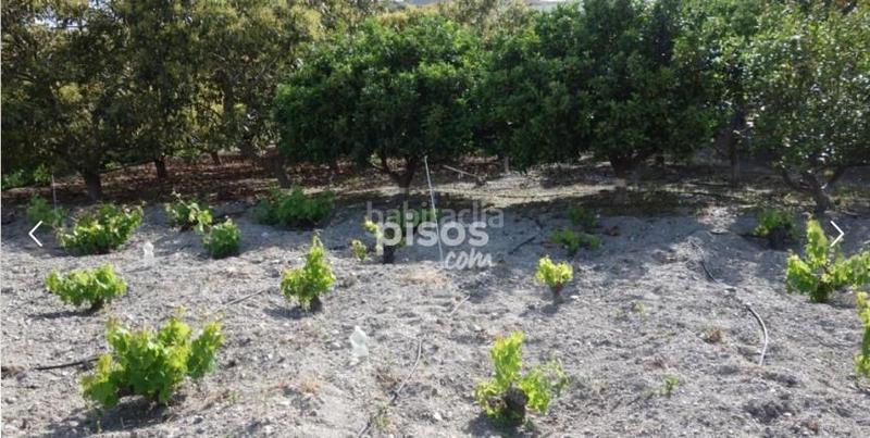 Foto 31de948c-9776-4c97-8b46-6373082ba137. Propriété dans Motril ciudad Motril