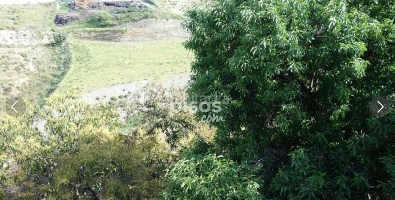 Foto 57ed02c1-7b8e-46b7-8d2e-46bc316ddb2a. Propriété dans Motril ciudad Motril