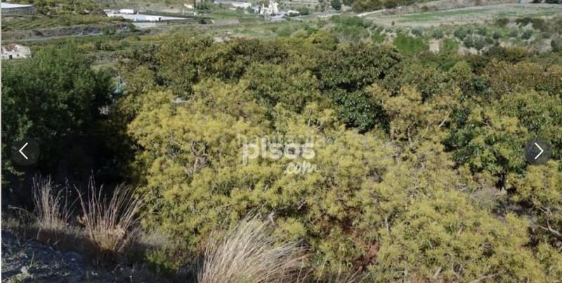 Foto 8756980b-b1da-44fd-8578-2366fbcb0b18. Propriété dans Motril ciudad Motril