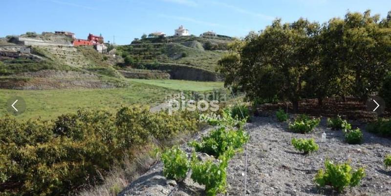 Foto b1a05877-acb8-4a1d-ab95-517ba8c5e77d. Propriété dans Motril ciudad Motril