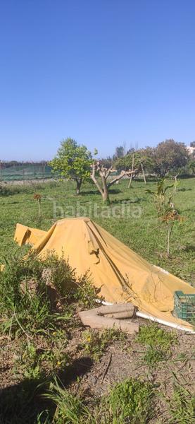 Foto 74265fa7-ca6c-4e67-96e2-ef009baff241. Finca rústica a Motril ciudad Motril