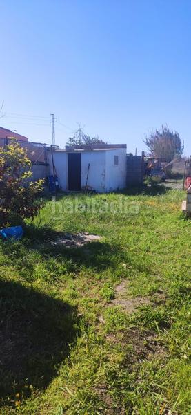 Foto 8e91d8df-8ea7-4f82-a9cd-59499370b3ce. Finca rústica a Motril ciudad Motril