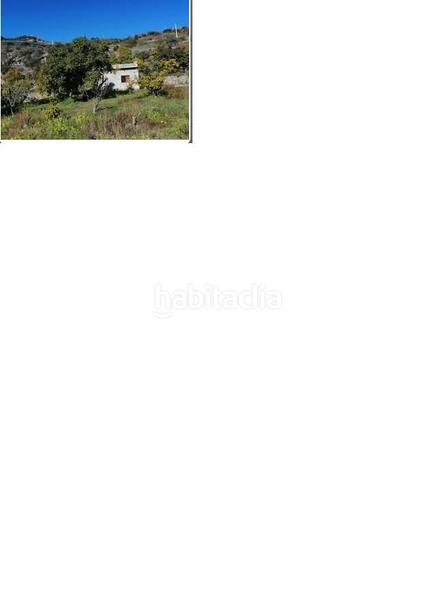 Foto e686b288-229a-4088-9de7-7afd895f64c2. Fondo rustico in Motril ciudad Motril