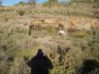 Finca rústica a Motril  ciudad. Finca en velez benaudalla
