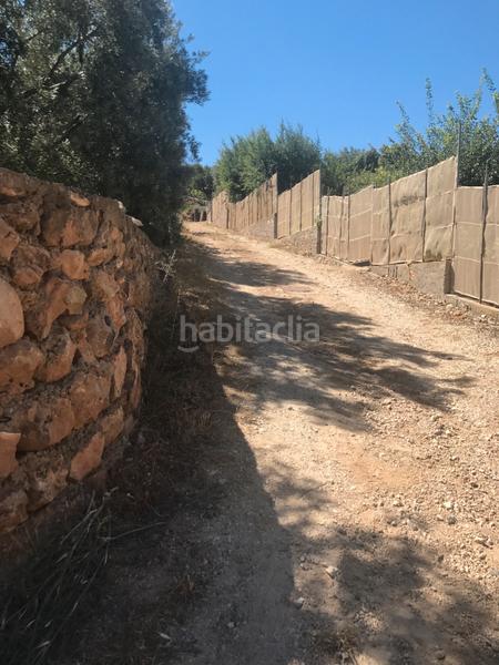 Foto 3a244cea-b2f0-4edc-9c62-e63ec6931f35. Finca rústica finca en velez benaudalla en Motril ciudad Motril