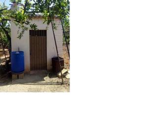 Finca rústica a Motril  ciudad. Finca en velez benaudalla