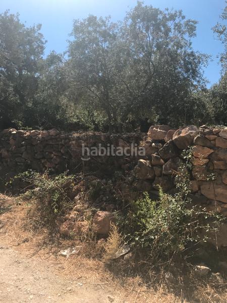 Foto f5b268e6-2a4f-4d2f-955f-24df28ce7e2c. Finca rústica finca en velez benaudalla en Motril ciudad Motril
