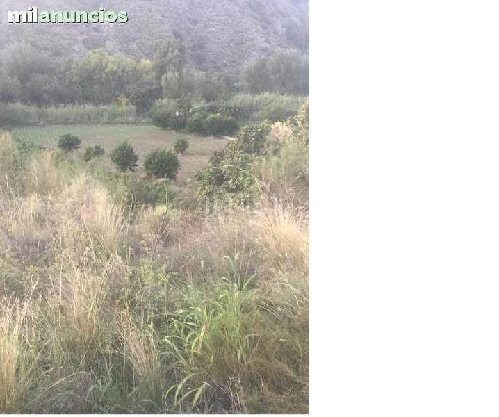 Foto 7f1cef07-2deb-4896-bb96-620d41da41f1. Finca rústica finca en velez benaudalla en Motril ciudad Motril