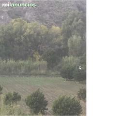 Rural plot in Motril  ciudad. Finca en velez benaudalla