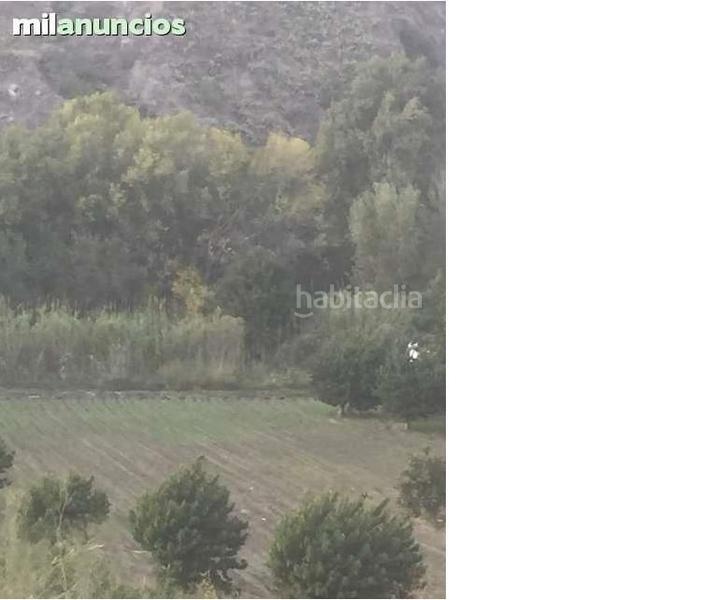 Foto 86f3f778-c028-4a16-9689-98e1b32257f1. Finca rústica finca en velez benaudalla en Motril ciudad Motril