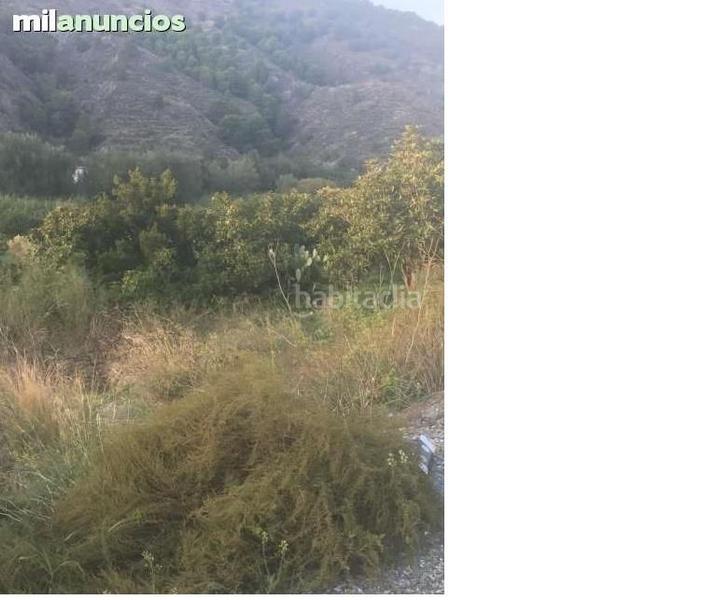 Foto ec467202-01ae-4765-bb65-9d510194dd76. Finca rústica finca en velez benaudalla en Motril ciudad Motril
