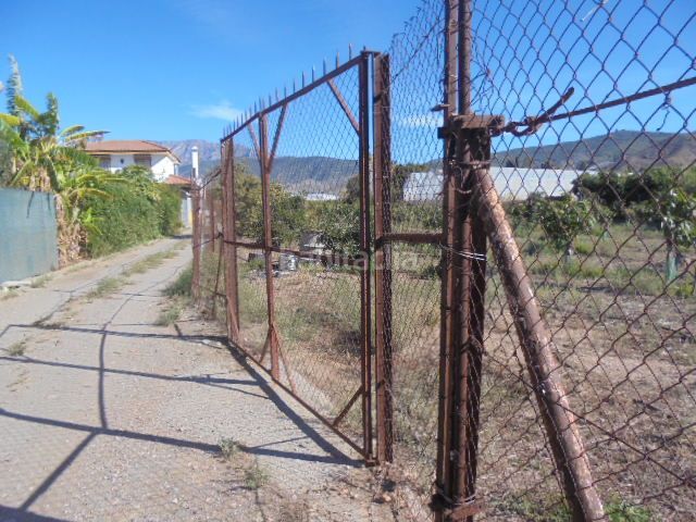 Foto 847cb990-9c31-4b32-b507-02b821e094b3. Finca rústica a Motril ciudad Motril