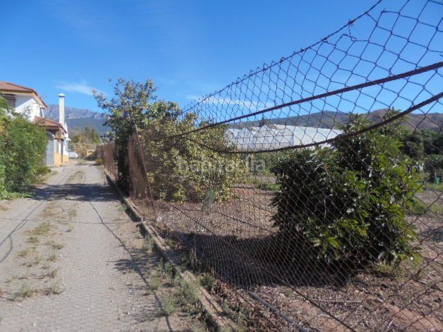 Foto 8fd9cde2-3729-4f21-897c-acc62a0128ae. Finca rústica a Motril ciudad Motril