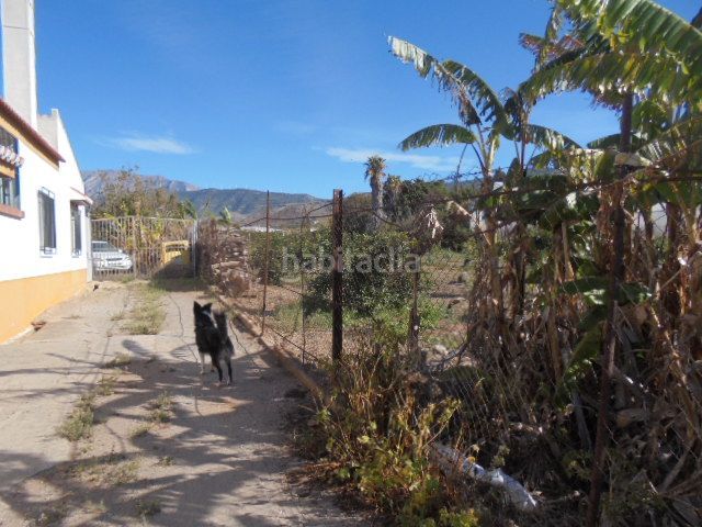 Foto c7b5764c-5775-4049-88b6-65738e5fe4bc. Finca rústica a Motril ciudad Motril