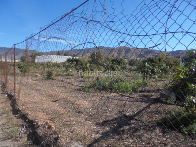 Foto e29239ae-7571-4cc3-84ce-5c63d2b635e0. Finca rústica a Motril ciudad Motril
