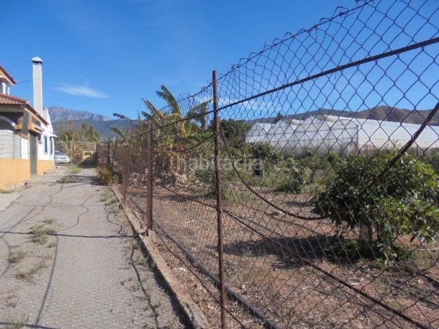 Foto e9b09719-4b06-4dc2-aa8d-c4a40c018eaa. Finca rústica a Motril ciudad Motril