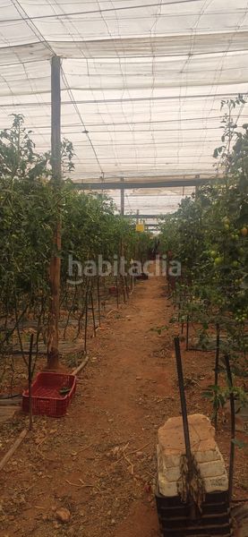 Foto 8ecf670c-ec30-41d5-9860-a890f83a1b32. Masia a Motril ciudad Motril