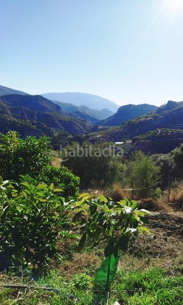 Foto 05b51990-0c12-48be-be55-63576090b51e. Casale in Motril ciudad Motril