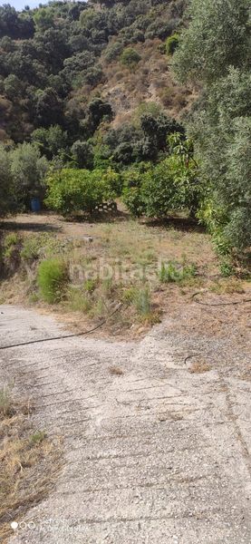 Foto 51365e77-05ff-462a-a1ad-1bc4c6c14109. Casale in Motril ciudad Motril