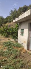 Mas à Motril  ciudad. Finca en guajar alto aguacates