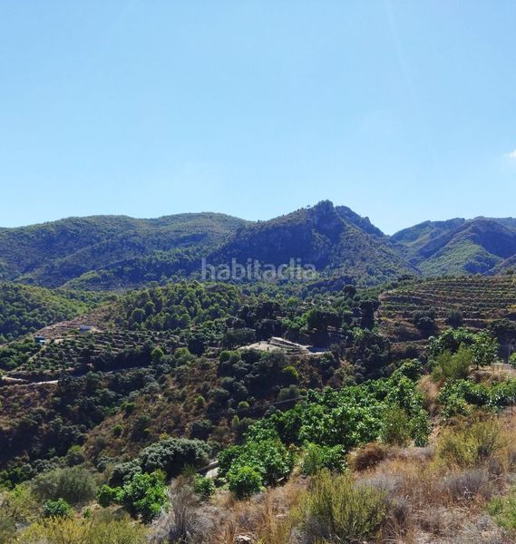 Foto dba97e3b-78e1-4f01-b7e7-248b41e0598b. Casale in Motril ciudad Motril