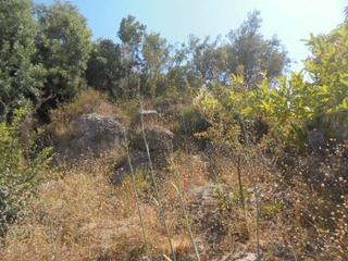 Masia a Motril  ciudad. Finca en las torcas velez benaudallla