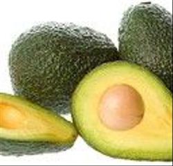 Masia a Motril  ciudad. Finca de aguacates molvizar