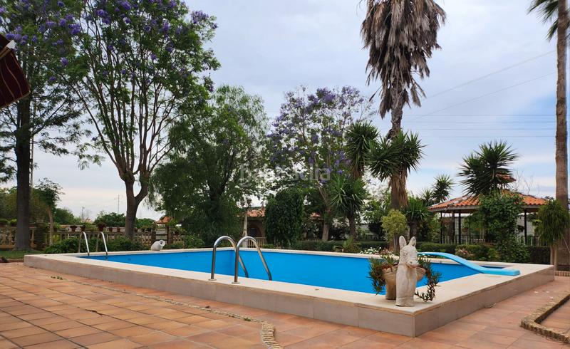 Foto 2c8d41be-6bea-4a23-ae62-c9eb3734621d. Fondo rustico in Vista Azul - Consolación Dos Hermanas