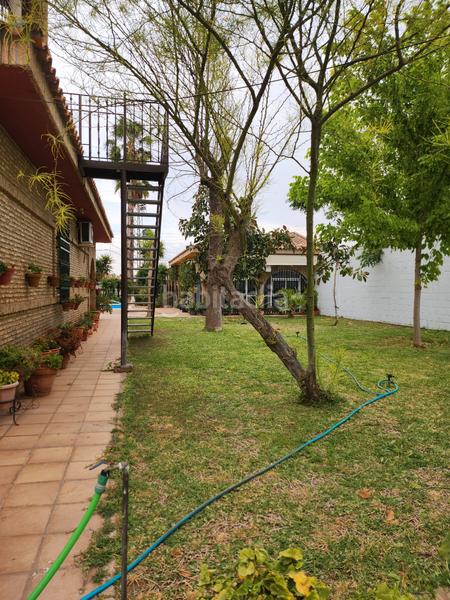 Foto ae03983f-fc94-48fc-a49a-4172599322d4. Fondo rustico in Vista Azul - Consolación Dos Hermanas