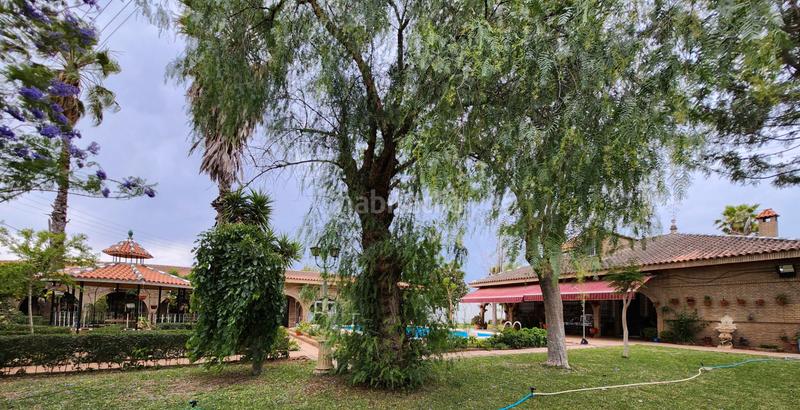 Foto d02023f3-4d13-4cb8-a49b-da3be631626a. Fondo rustico in Vista Azul - Consolación Dos Hermanas