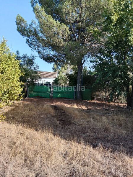 Foto 94d63bfc-8263-41d8-bf5d-3a3d95da913b. Finca rústica a avenida maría auxiliadora 40 a Torre Cruz - Los Molinos Utrera