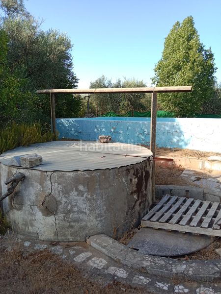 Foto aa466dd0-ab64-4f61-af73-fed0dfcf79c7. Finca rústica a avenida maría auxiliadora 40 a Torre Cruz - Los Molinos Utrera