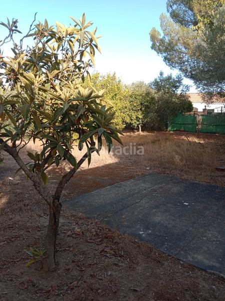 Foto 6e97287f-daed-471c-bd07-fe18dfd846ec. Finca rústica en avenida maría auxiliadora 40 terreno rustico en Utrera