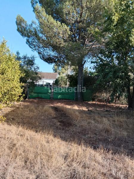 Foto 94d63bfc-8263-41d8-bf5d-3a3d95da913b. Finca rústica en avenida maría auxiliadora 40 terreno rustico en Utrera