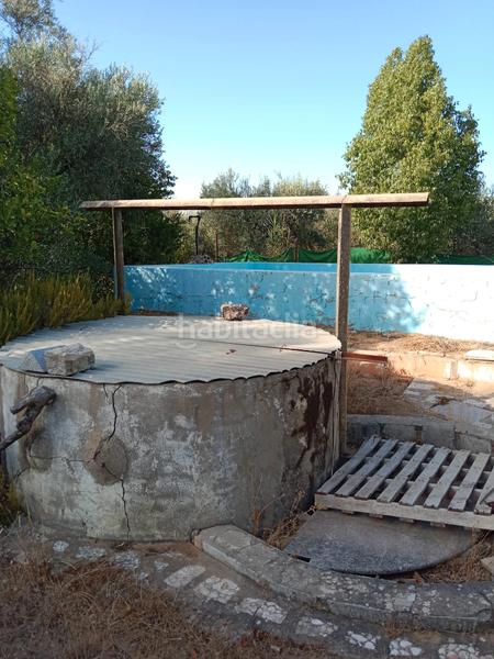 Foto aa466dd0-ab64-4f61-af73-fed0dfcf79c7. Finca rústica en avenida maría auxiliadora 40 terreno rustico en Utrera