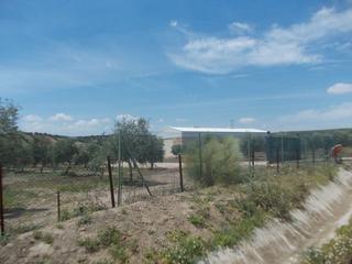 Finca rústica  Plaza la puebla. Venta de olivar en la puebla de cazalla. sevilla