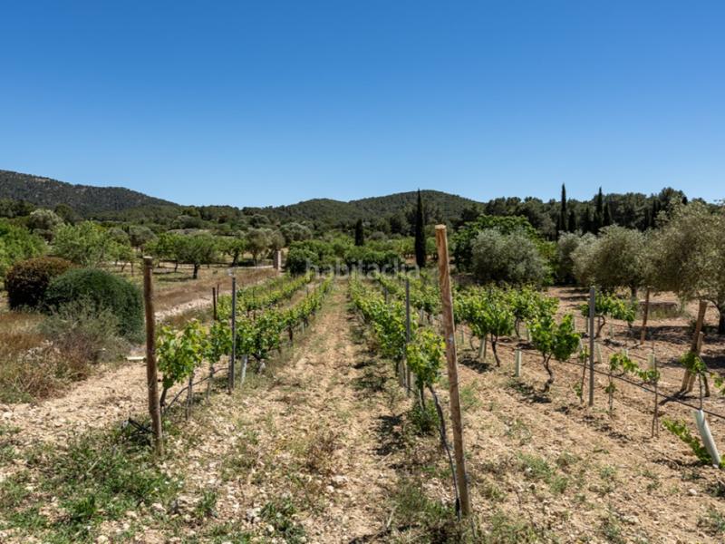 Foto 451a3cd1-235f-4223-b40e-99b8f9f215d4. Masia amb aparcament piscina a Calvià poble Calvià